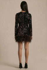 Stardust | Brown Sequined Velvet Crew-Neck Mini Dress With Feather Trim